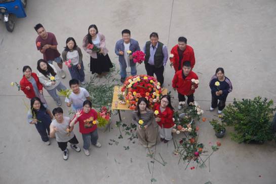 图片8