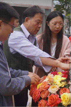 图片7